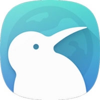 Kiwi浏览器(Kiwi Browser)