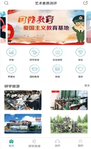 四川省艺术素质测评登录网站截图2