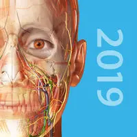 2019人体解剖学图谱