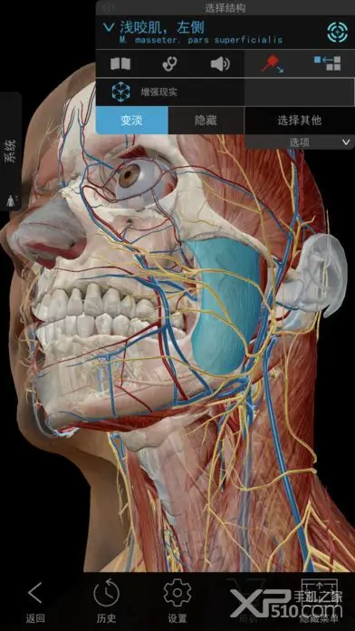 2019人体解剖学图谱截图1