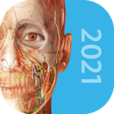 2021人体解剖学图谱破解版