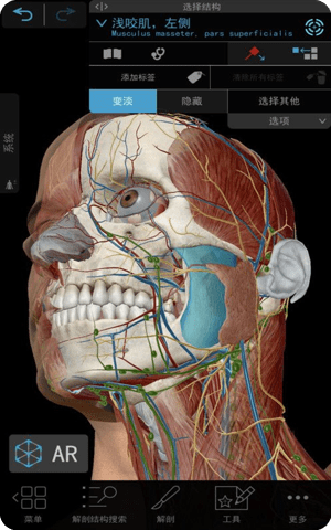 2021人体解剖学图谱破解版截图1