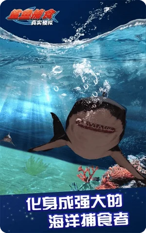 真实模拟鲨鱼捕食免费版截图2