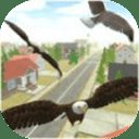 飞鹰模拟器2020游戏