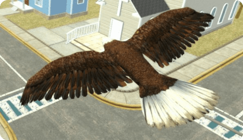 飞鹰模拟器2020游戏截图1