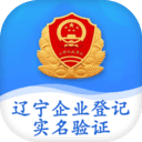 辽宁企业登记实名验证app手机客户端