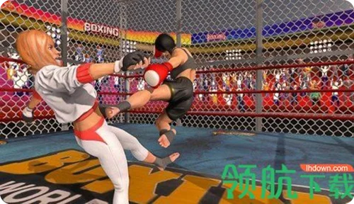 拳击拳手游戏中文版截图2