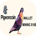 Pigeoncoin鸽子币