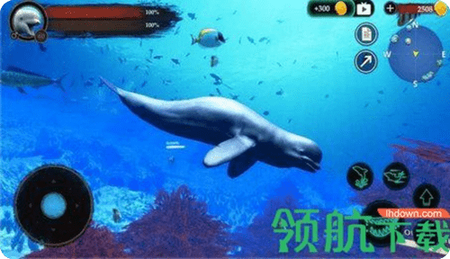 海洋大捕杀游戏中文版截图1
