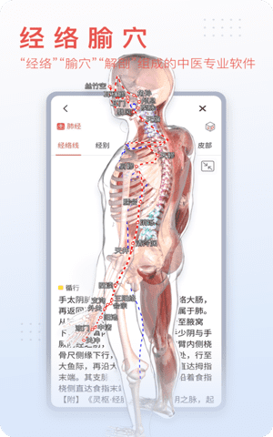 3Dbody解剖图手机版截图2
